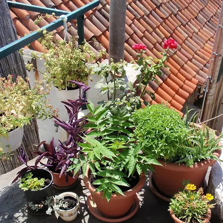 Pensjonat Malena Palace Experience Split