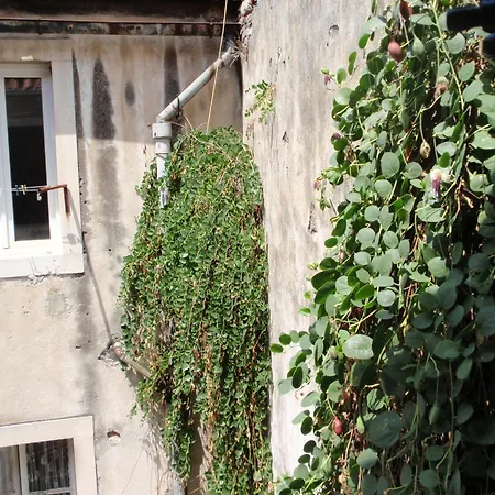 Pensjonat Malena Palace Experience Split