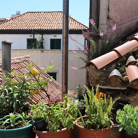 Malena Palace Experience سبليت