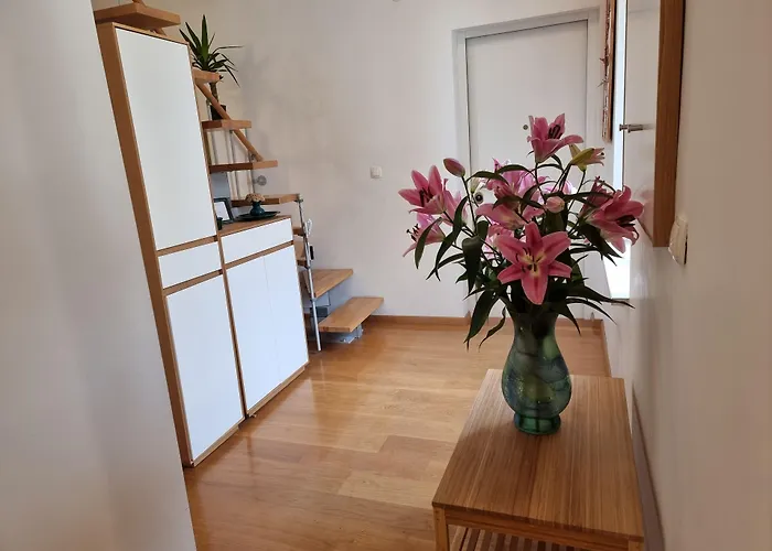 ゲストハウス Malena Palace Experience