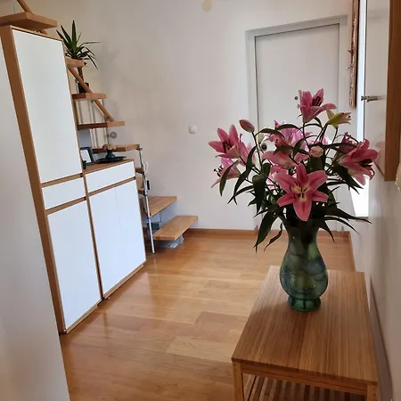 招待所 Malena Palace Experience